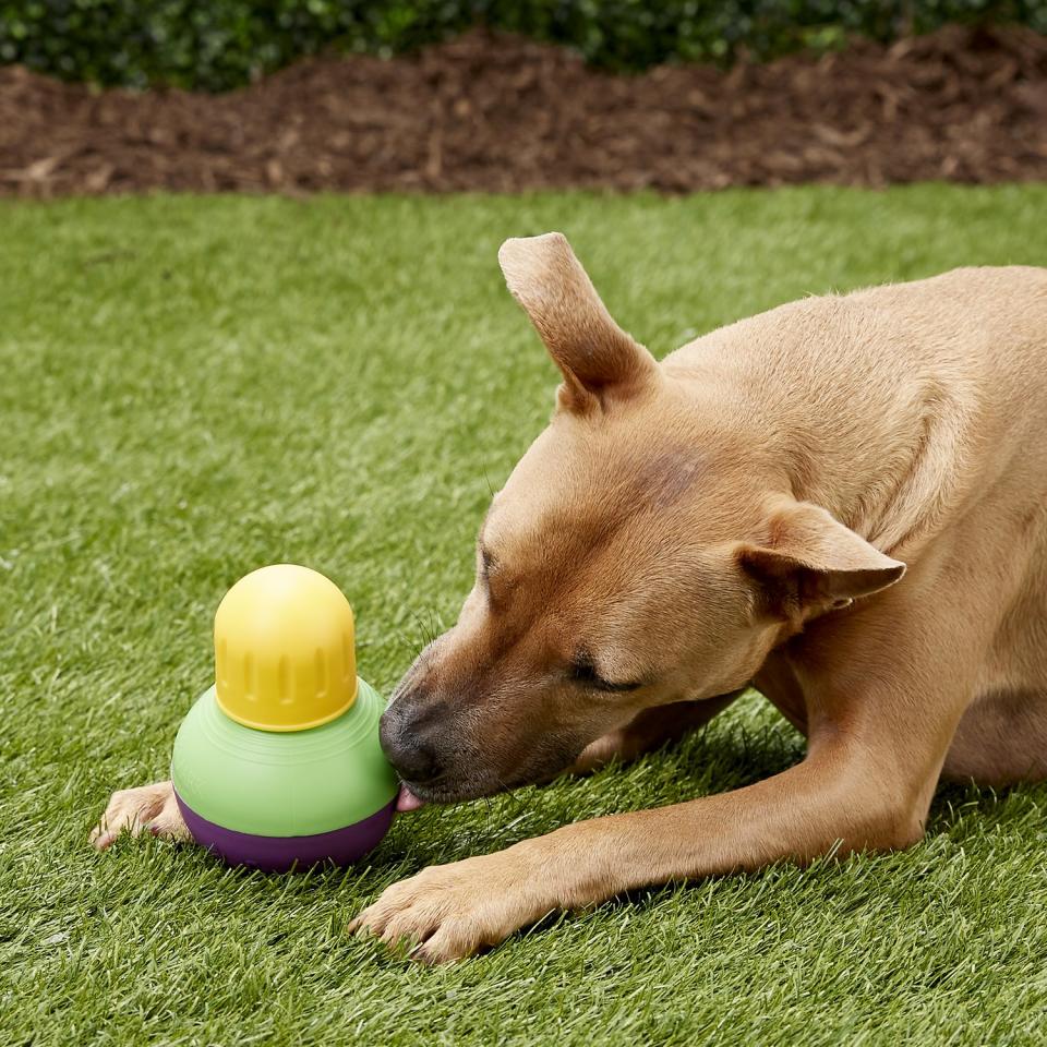 The mentally stimulating toy helps pets get exercise and stay engaged while they work to release food and treats (Photo: Starmark)