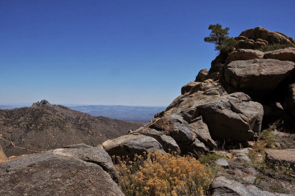 View from Aspen Peak along the Aspen Peak-Potato Patch Loop in Hualapai Mountain Park near Kingman, Arizona.