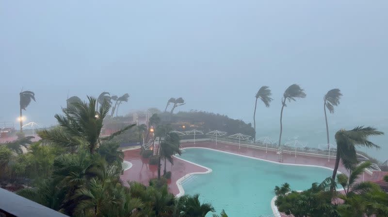 Los árboles se balancean debido a los fuertes vientos del tifón Mawar, en Tamuning, Guam,