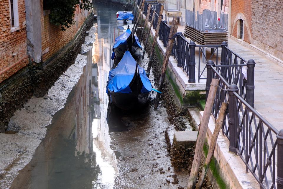 <p>Gondolas are seen in a canal during an exceptionally low tide in the lagoon city of Venice</p> (Reuters)