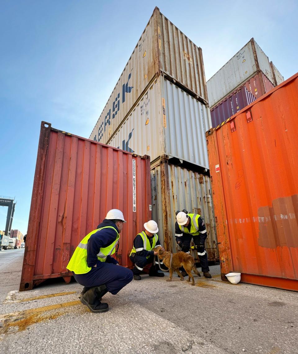 The Coast Guard officers discovered Connie in the shipping container after she was heard barking.