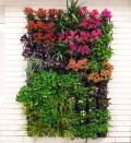 When there is no room left in your garden to grow flowers or herbs, or if your outdoor space is tiny, don't give up on your gardening dreams - look on the upside! Vertical gardens are a clever way to make the most of your space and are great for adding a splash of colour to dull, bare walls. Plant a mix of dense, low-growing, compact flowers, a productive patch filled with herbs, or a mixture of both! You can make your own version or pick up an easy-to-assemble DIY modular kit from your local hardware store. Simply install, plant up and away you go - the sky's the limit!<br><br>Click here for <a rel="nofollow" href="https://au.lifestyle.yahoo.com/better-homes-gardens/gardening/h/19951025/how-to-make-a-vertical-garden/" data-ylk="slk:how to make a vertical garden;elm:context_link;itc:0;sec:content-canvas" class="link ">how to make a vertical garden</a>