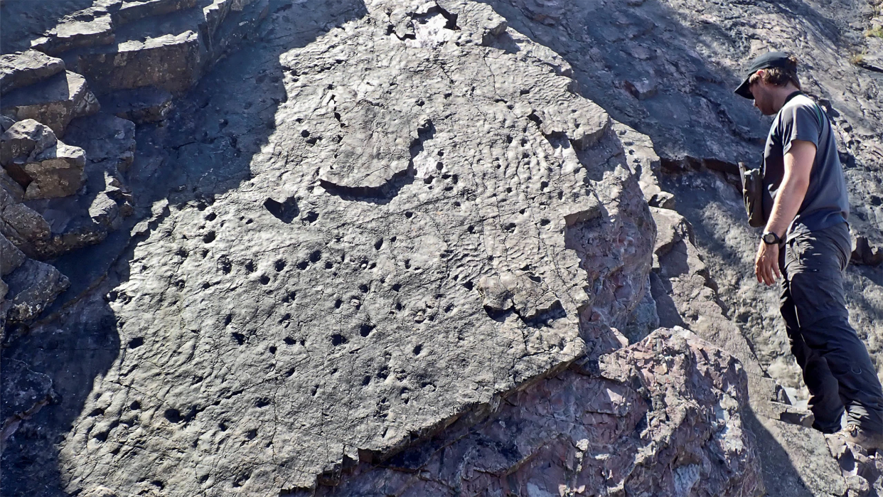 rocky cliffs with pockmarks where the fossils were found