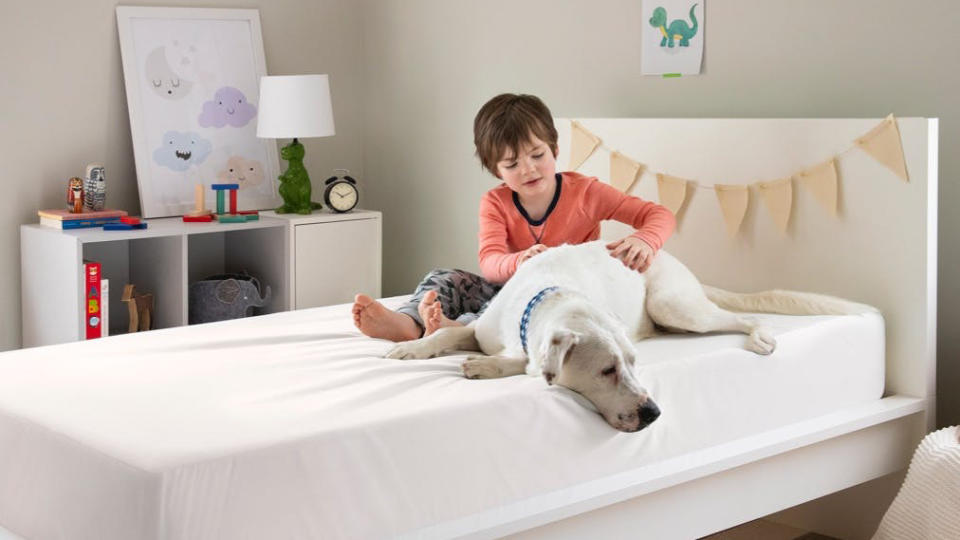 A little boy and his white dog sit on a kids mattress covered with a white Tuft & Needle mattress protector