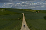 A pilgrim walks during a stage of "Camino de Santiago" or St. James Way near to Santo Domingo de La Calzada, northern Spain, Tuesday, May 31, 2022. Over centuries, villages with magnificent artwork were built along the Camino de Santiago, a 500-mile pilgrimage route crossing Spain. Today, Camino travelers are saving those towns from disappearing, rescuing the economy and vitality of hamlets that were steadily losing jobs and population. “The Camino is life,” say villagers along the route. (AP Photo/Alvaro Barrientos)