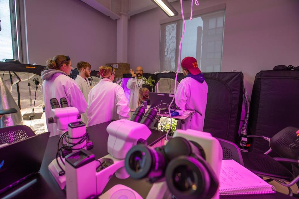 Johnson & Wales University students studying cannabis entrepreneurship gather around Prof. Michael Budziszek, who helped launch the four-year program at the school.