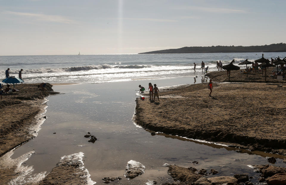 <p>La retirada de los arribazones de la Cala Millor pone en peligro el ecosistema de la zona, según el informe. También en Mallorca, la playa d' Albercutx recibe bandera negra por la contaminación de aguas fecales. (Foto: Clara Margais / Getty Images).</p> 