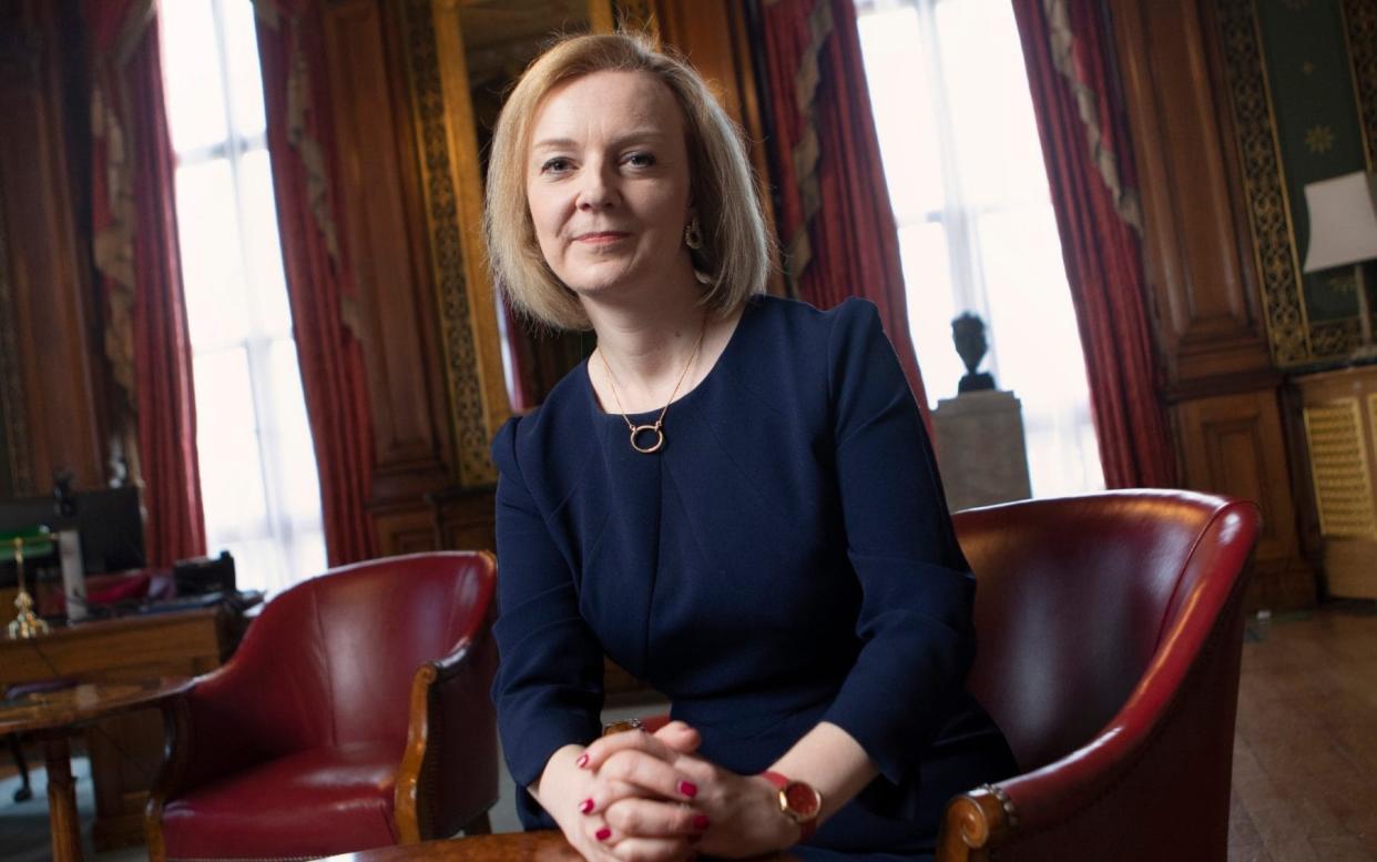 Liz Truss - Rii Schroer for The Telegraph