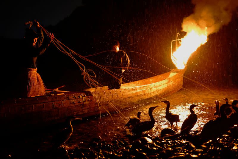 The Wider Image: Environmental change threatens what's left of Japan's cormorant fishing legacy