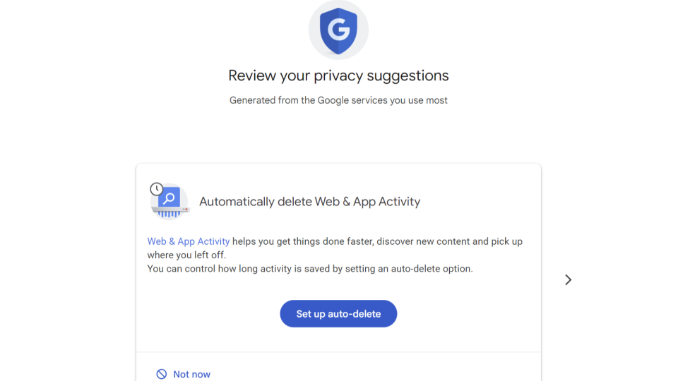 Google Privacy Options