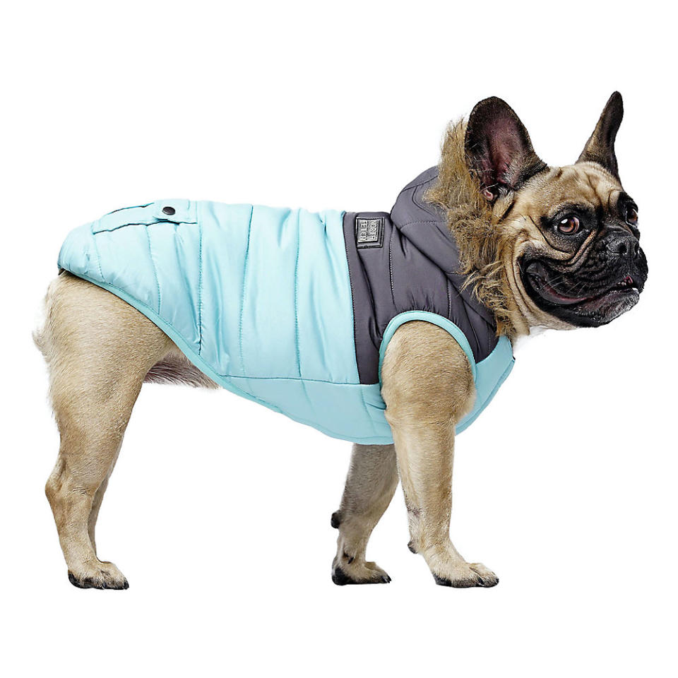 North Fetch Colourblock Teal Puffer Jacket for Dogs available at PetSmart.