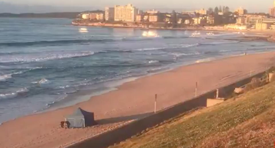 Police have set up a crime scene at the beach. Source: Sunrise