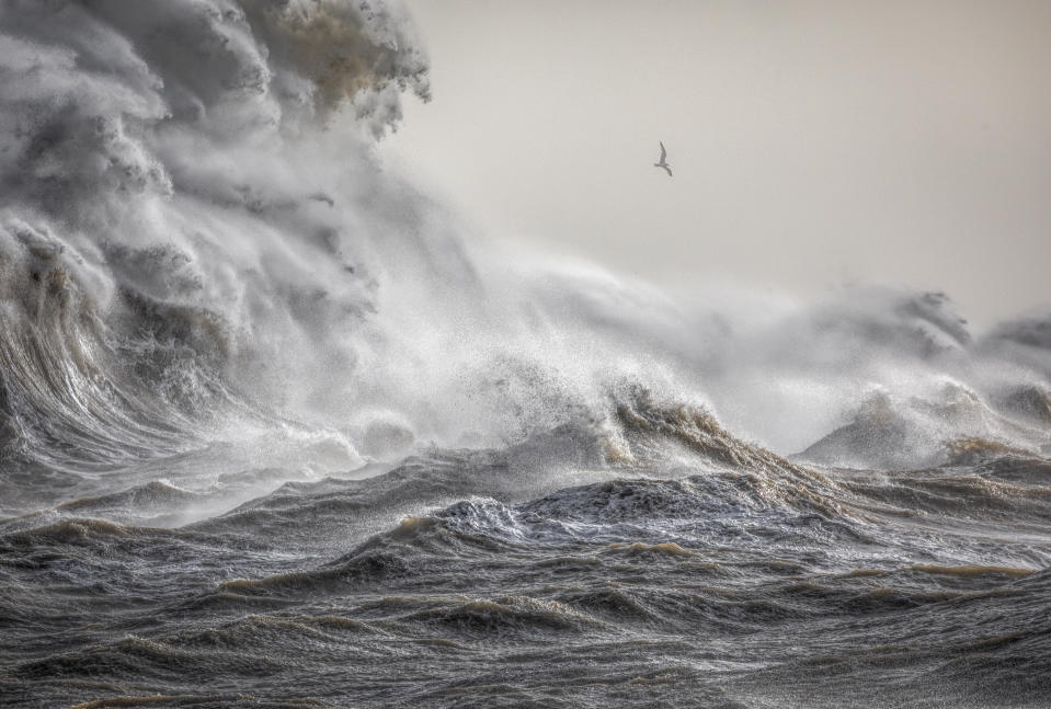 Weather Photographer of the Year