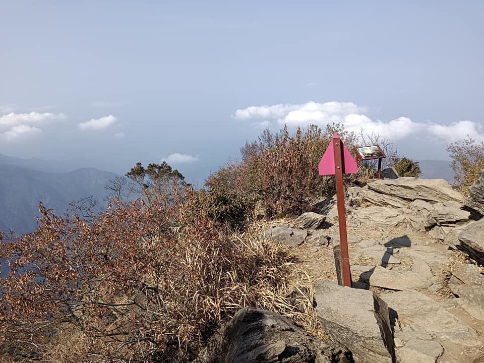 北大武山「乾燥到極點」！步道植物變枯黃　他嘆：比百年大旱還乾