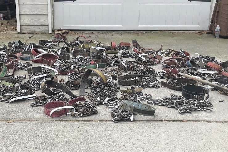 Dog collars seized in connection with a Georgia man who was arrested for allegedly breeding and training over 100 pit bulls for dog fighting. (Paulding County Sheriff)