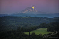 The blue moon shines behind Mount Hood, Oregon, in this photo by Gary Randall.