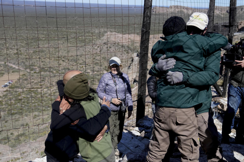 Miembros del Programa de Conservación del Cóndor Andino se abrazan luego de colocar equipos transmisores con GPS a dos cóndores criados en cautiverio el día ante de su liberación en Sierra Paileman, provincia argentina de Río Negro, el 13 de octubre del 2022. (AP Photo/Natacha Pisarenko)