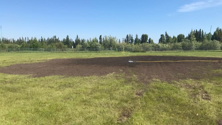 Bothersome beavers banned from Yellowknife baseball field