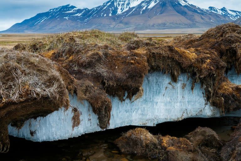 El permafrost de Siberia es uno de los más afectados por el cambio climático