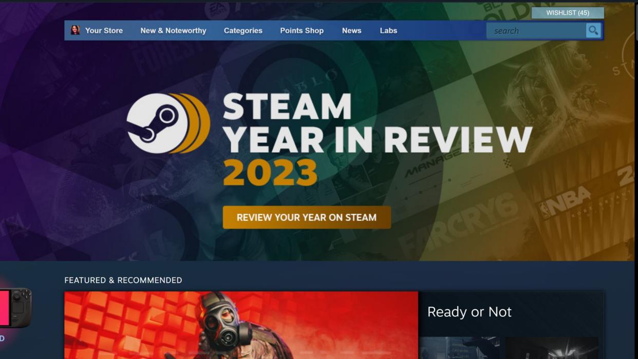  Steam year in review 2023. 