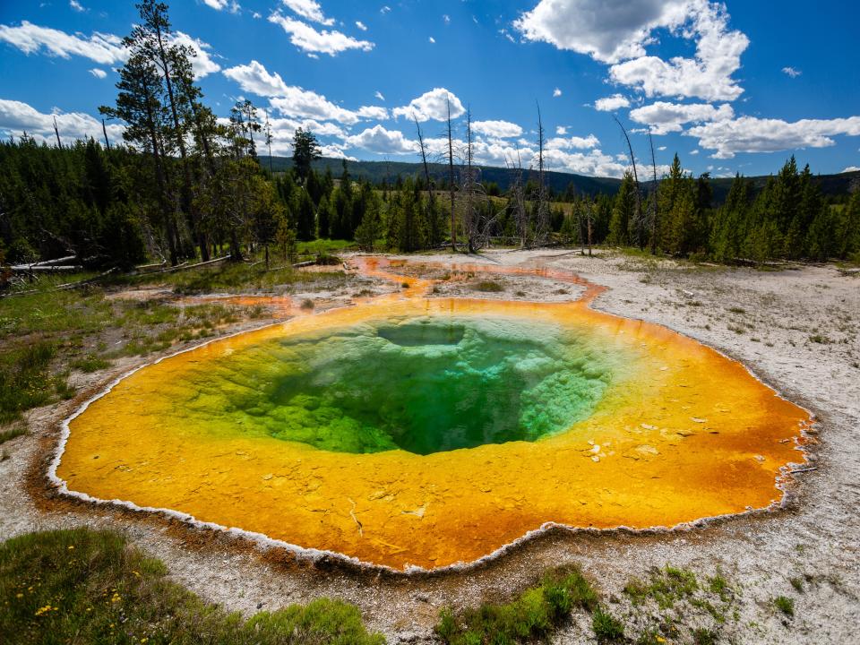 The green and yellow Morning Glory Pool in Yellowstone.