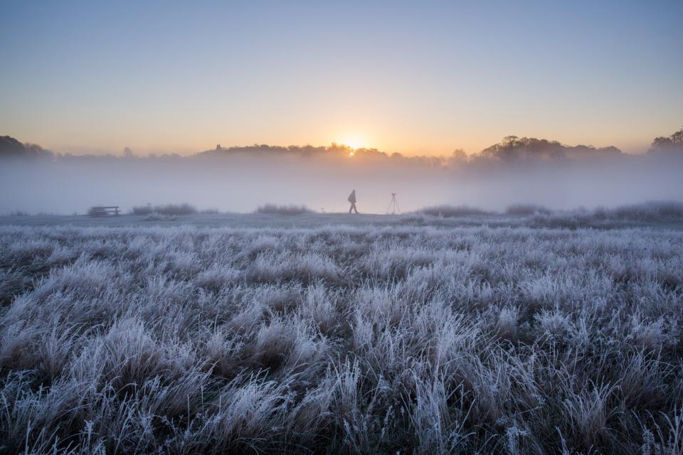 Richmond Park’s frosty morning