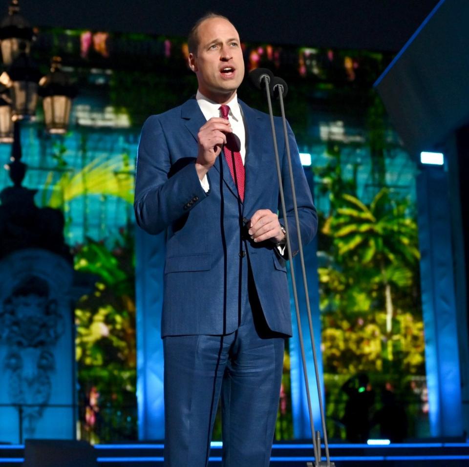 The Duke of Cambridge gave a speech about climate change during the concert on Saturday - Jeff J Mitchell/Getty Images Europe