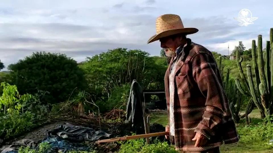 MIAHUATLÁN DE PORFIRIO DÍAZ, Oax., agosto 30 (EL UNIVERSAL).- La familia Jarquín no dejó de trabajar pese al confinamiento social, "fueron los clientes los que se apagaron", dicen; confían en que la situación económica mejorará y su producto (mezcal) se comprará como antes. Video: Agencia EL UNIVERSAL.