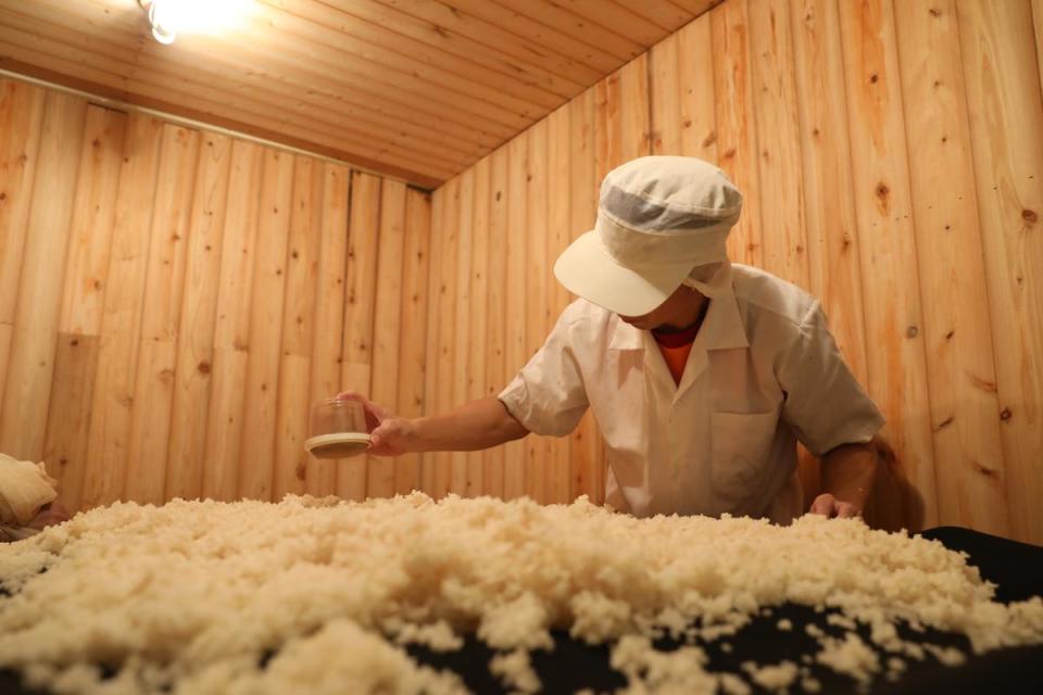 中福酒廠釀酒師馬定璋擁有食品系背景，打造專業培麴室，嚴格控制溫度與溼度。