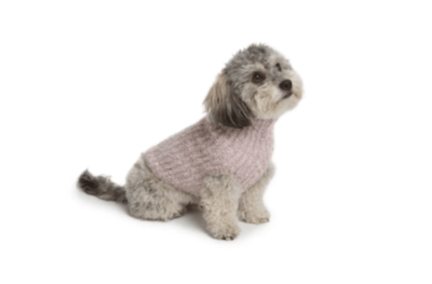 <p>Your furry friend will never be more cozy than when wearing this ribbed sweater from fan-favorite brand Barefoot Dreams!</p><p><strong><a href="https://www.amazon.com/dp/B07K7FXS9M?th=1&linkCode=ll1&tag=parade03-20&linkId=c389c9d3765f2a0c68c05045cbcba2a8&language=en_US&ref_=as_li_ss_tl" rel="nofollow noopener" target="_blank" data-ylk="slk:Barefoot Dreams CozyChic Ribbed Dog Sweater, $39 at Amazon;elm:context_link;itc:0;sec:content-canvas" class="link ">Barefoot Dreams CozyChic Ribbed Dog Sweater, $39 at Amazon </a></strong></p><p>Amazon</p>