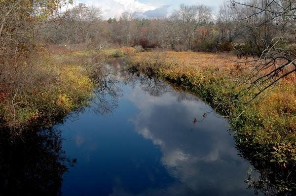 A view of the Hockomock Swamp, part of The Bridgewater Triangle.