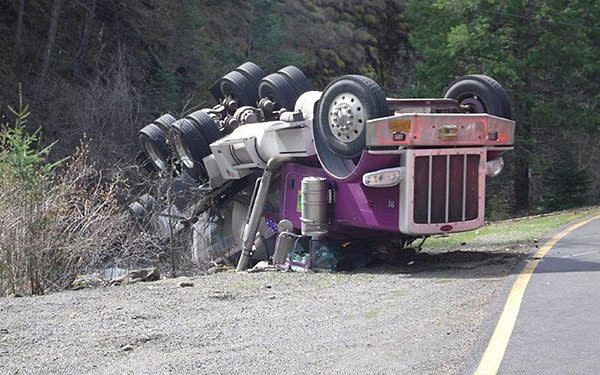 The truck flipped onto its roof launching fish into the nearby creek