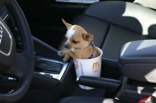 3. Oh, That's What the Cupholder is For