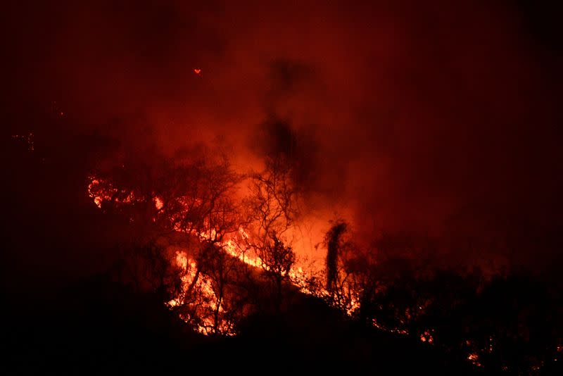 Wildfires in Veracruz, Mexico