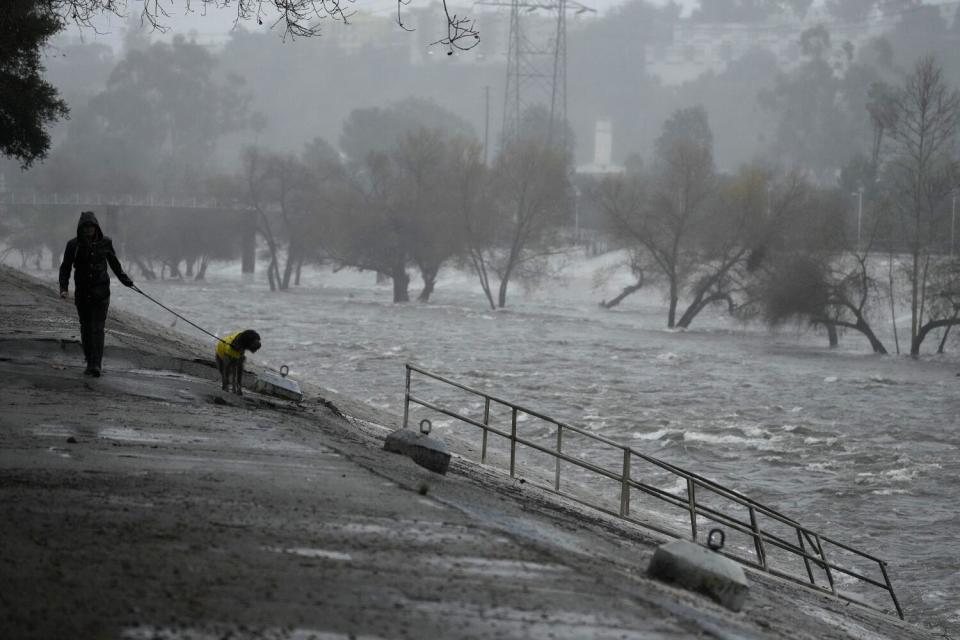 A man walks his dog on the edge of the Los Angeles River, which is carrying stormwater downstream.