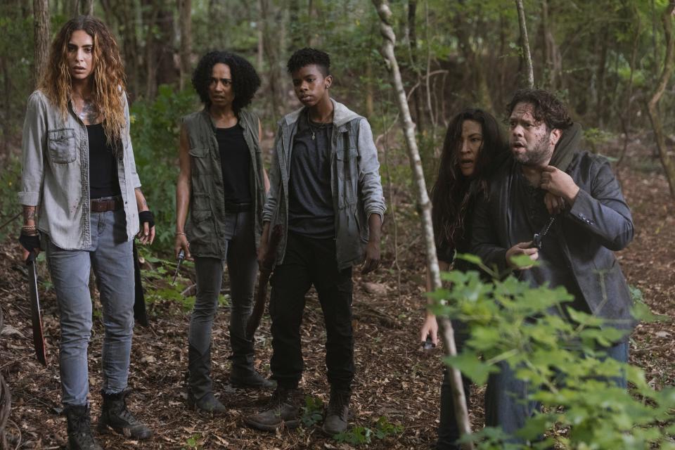 TWD 905 Magna's group