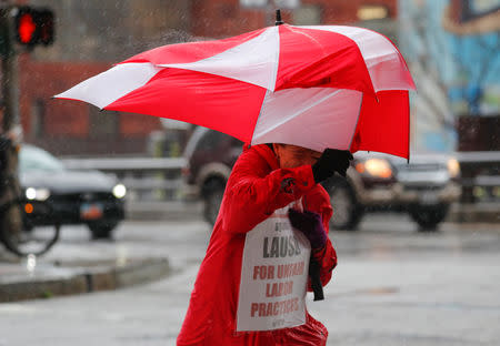 A striking teacher in the Los Angeles public school system deals with the rain and wind after going on strike in Los Angeles, California, U.S., January 14, 2019. REUTERS/Mike Blake