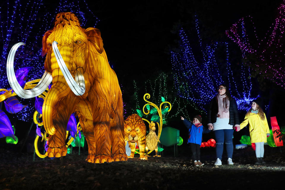 Giant lantern at zoo