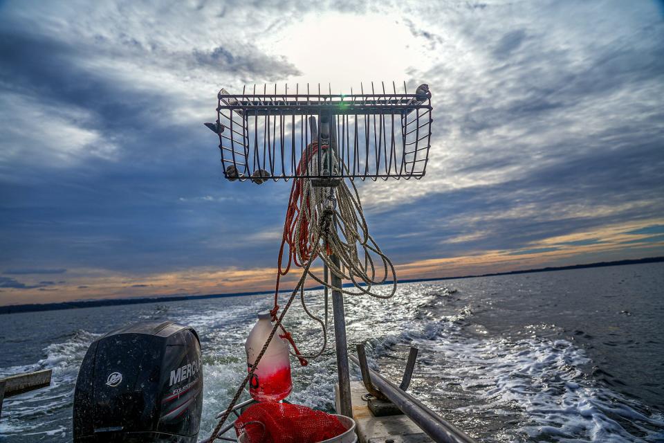 David Ghigliotty heads to another quahog fishing ground on Narragansett Bay, his bullrake at the ready.