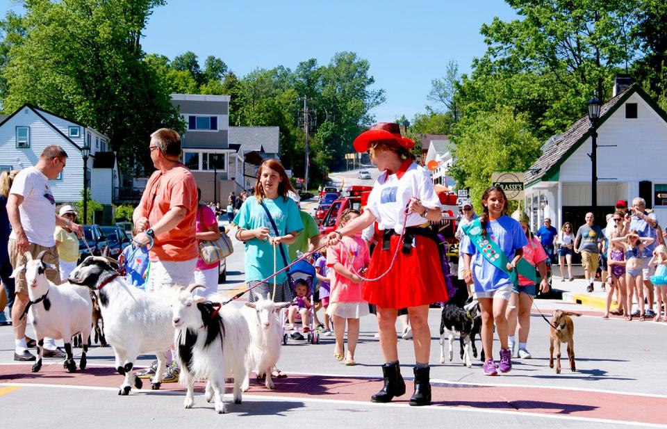 Goats of all kinds, and their sometimes costumed handlers, head down State 42 in Sister Bay during a past Roofing of the Goats Parade. The parade and following Goat Fest at Al Johnson's Swedish Restaurant is scheduled for June 11.