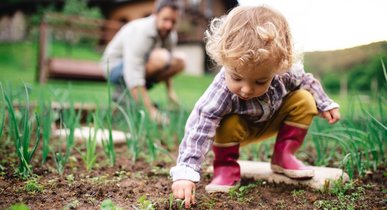 There has been increase in people buying compost and seeds during the lockdown (Getty Images)