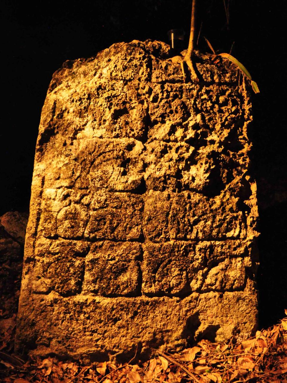 A photograph released to Reuters on August 22, 2014 shows a piece of a stela from an ancient Mayan city in Lagunita May 18, 2014. (REUTERS/Research Center of the Slovenian Academy of Sciences and Arts)
