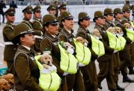 <p>Chilenische Polizeibeamte marschieren anlässlich der jährlichen Militärparade im Nationalpark Bernardo O’Higgins in Santiago mit Hundewelpen, die zu Polizeihunden ausgebildet werden sollen. (Bild: REUTERS/Rodrigo Garrido) </p>