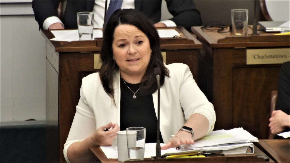 P.E.I. Finance Minister Jill Burridge says a private members bill to divert some of the province's liquor revenues to alcohol use education cannot pass without amendments.