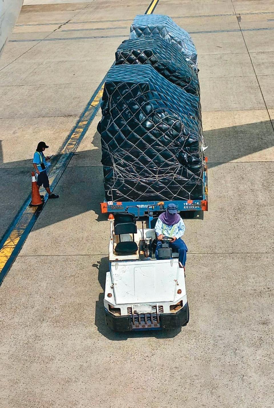 每架客機平均裝載1千至1千500公斤行李貨物，作業員需在飛機停靠的短短一小時內完成裝卸工作。（小K提供）