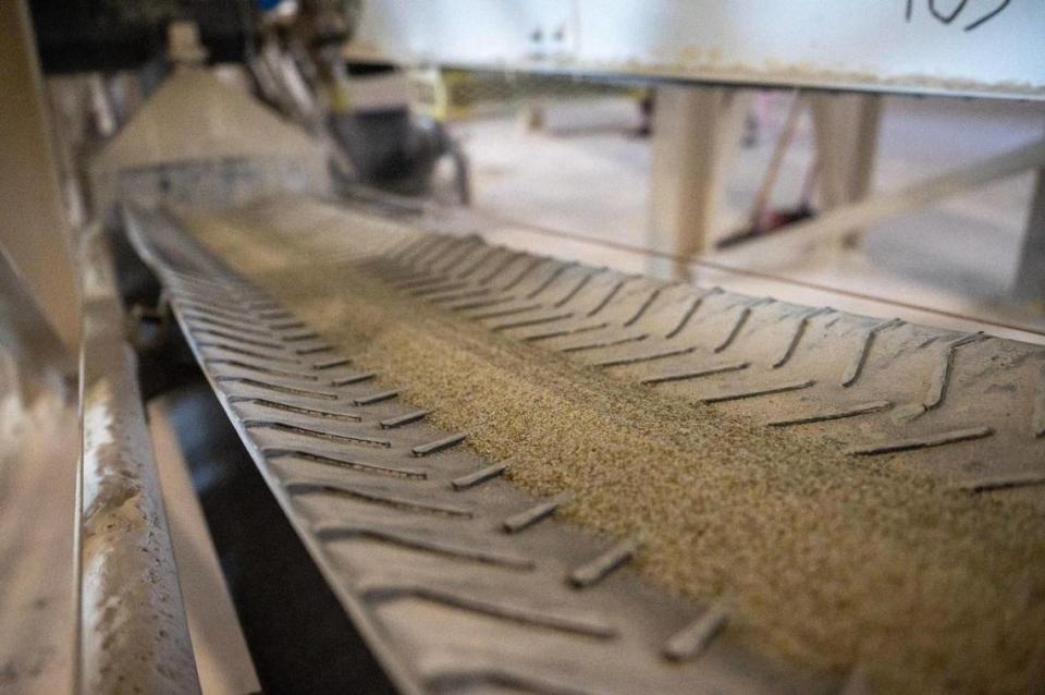 Granulated glass is seen on a conveyor belt at the Ripple Glass processing facility on Wednesday, March 15, 2023, in Kansas City.