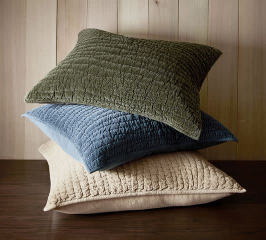 <p><a href="https://www.potterybarn.com/products/washed-velvet-silk-quilted-sham/?pkey=cexclusive-savings" data-component="link" data-source="inlineLink" data-type="externalLink" data-ordinal="1" rel="nofollow">Pottery Barn</a></p>