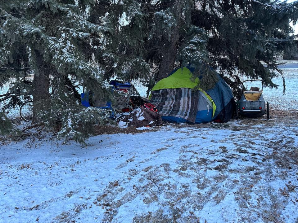 A homeless encampment set up in a green space along 149 Street in west Edmonton.