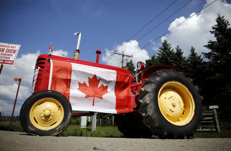 FILE PHOTO: An old tractor sporting a Canadian national flag is seen parked in the rural township of Oro-Medonte, Ontario July 26, 2015. REUTERS/Chris Helgren/File Photo