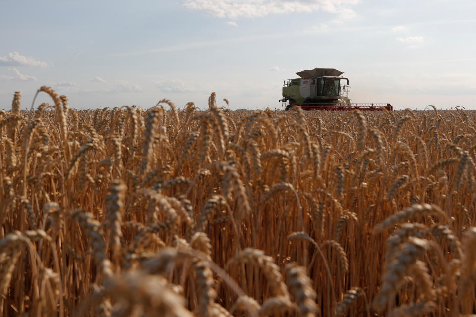 Key commodities: A combine harvests wheat in a field near the village of Hrebeni in Kyiv region, Ukraine